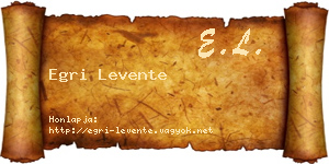 Egri Levente névjegykártya